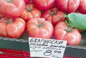 Stragan z pomidorami w Bułgarii i ceną