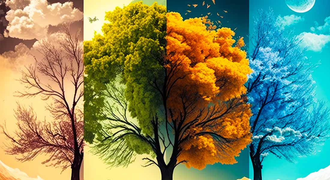 pory roku | Słoneczny Brzeg