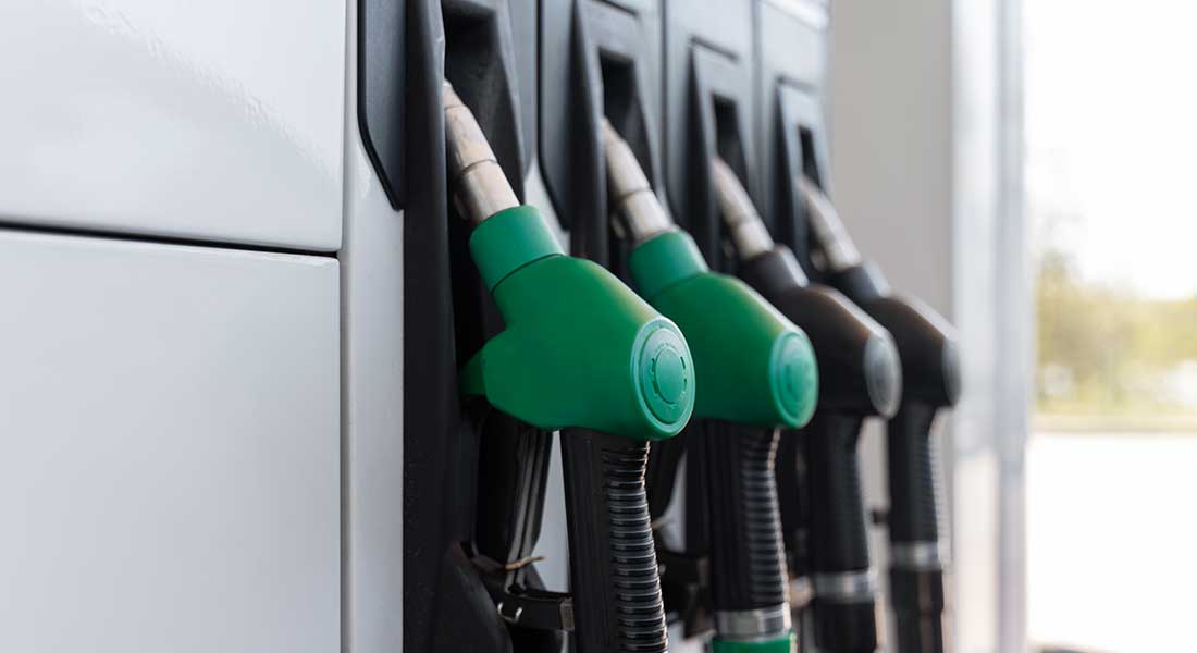 dystrybutory | Słoneczny Brzeg